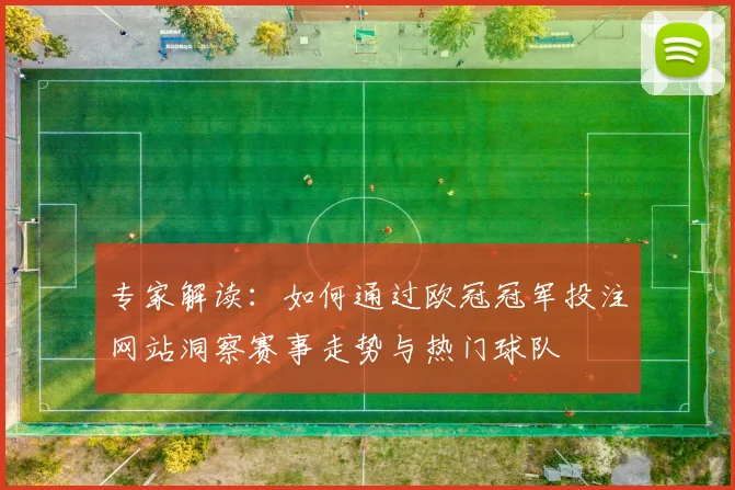 专家解读：如何通过欧冠冠军投注网站洞察赛事走势与热门球队