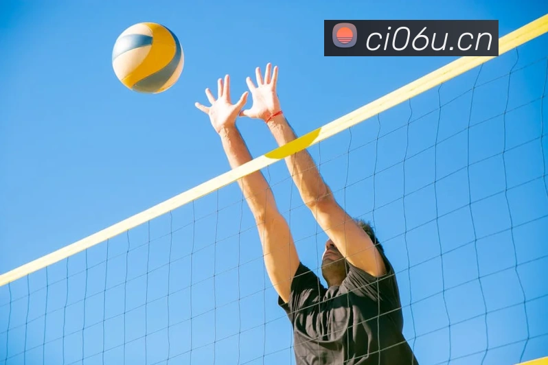 拼搏体育平台生态图