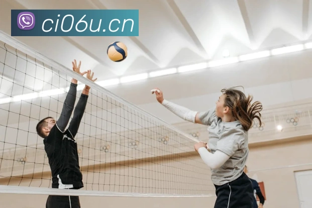 拼搏体育全站App